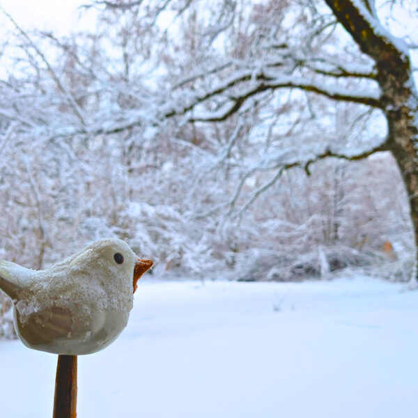 Le jardin est immaculé de blanc