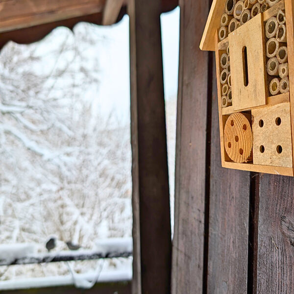 Les oiseaux et les insectes ont toujours leur place ici