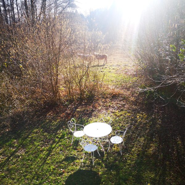 A certaines périodes, des chevaux comme voisins