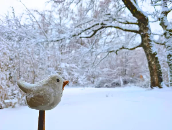 Le jardin est immaculé de blanc