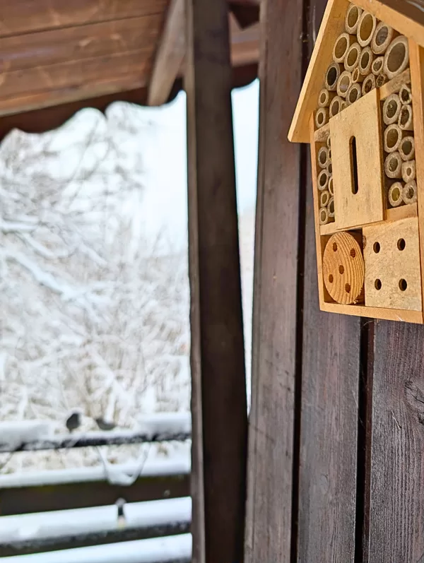 Les oiseaux et les insectes ont toujours leur place ici