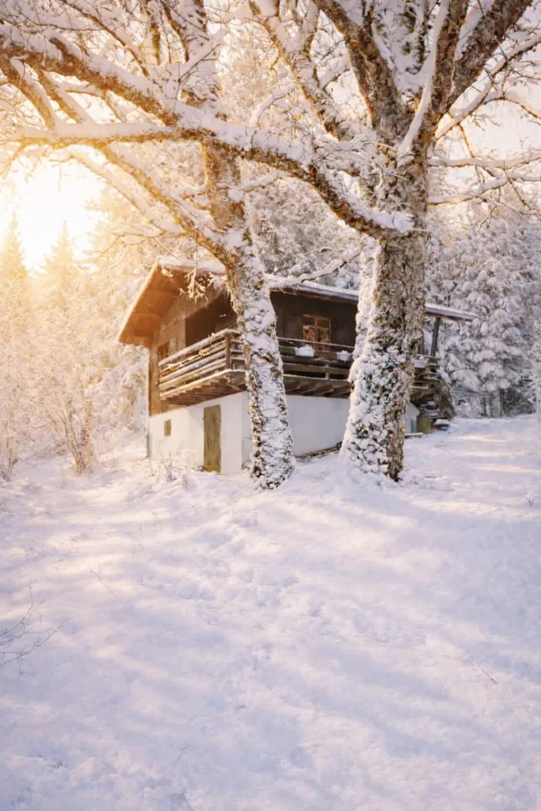 Un manteau de neige pour l'hiver